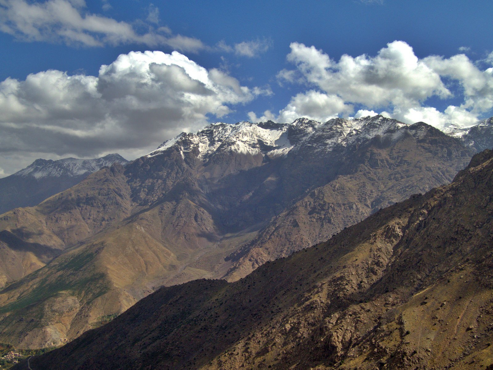 Image Alt