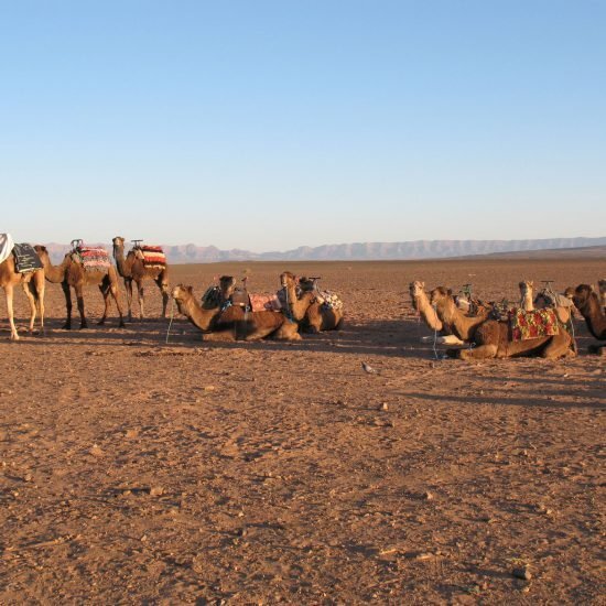 2 days sahara tour (1)