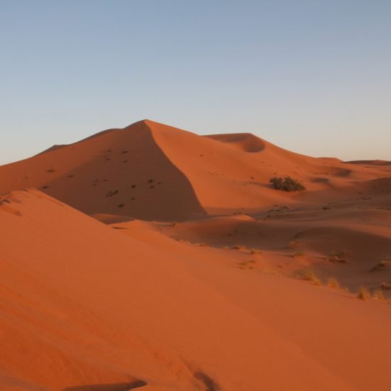 3 days sahara tour (8)