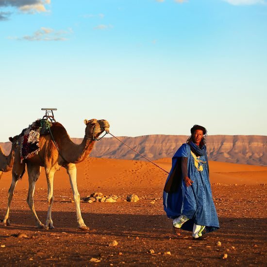 sahara desert tour