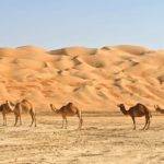 3-days-sahara-trip-after-toubkal-climb-150x150 2 days toubkal trek & 3 days sahara tour