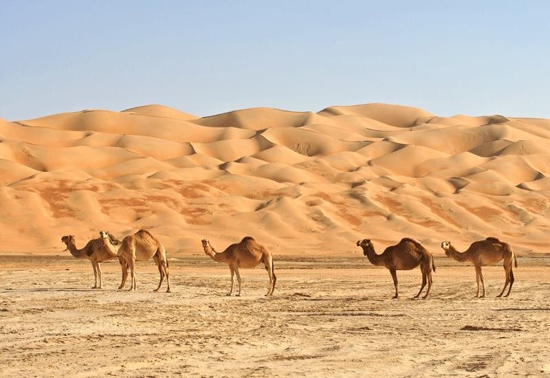 Morocco desert tours