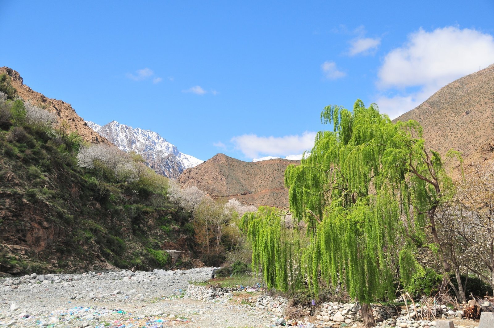 Ourika valley