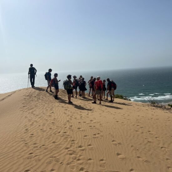 E2EB533F-5B79-42D8-A6F3-B93139EEF011-550x550 Home