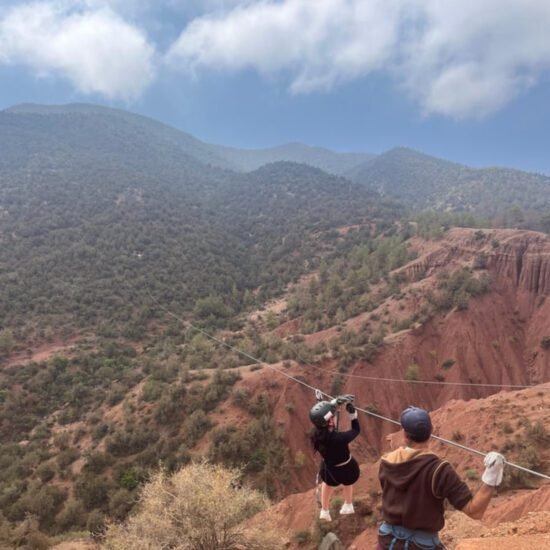 IMG_5288-550x550 Home