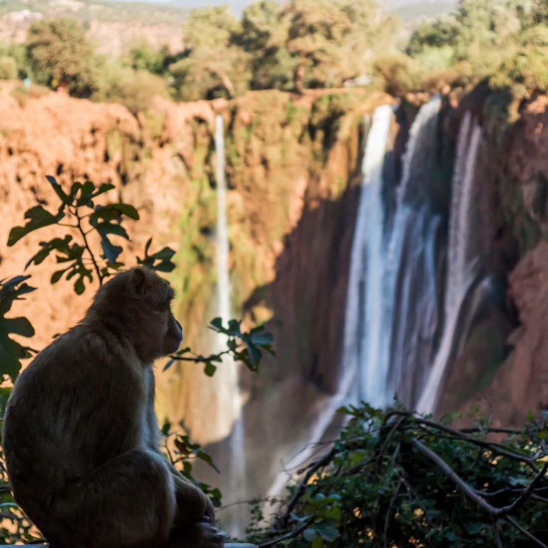 Ouzoud Waterfalls Day Trip From Marrakech - Cascade Ouzoud